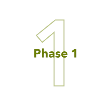 Phase 1